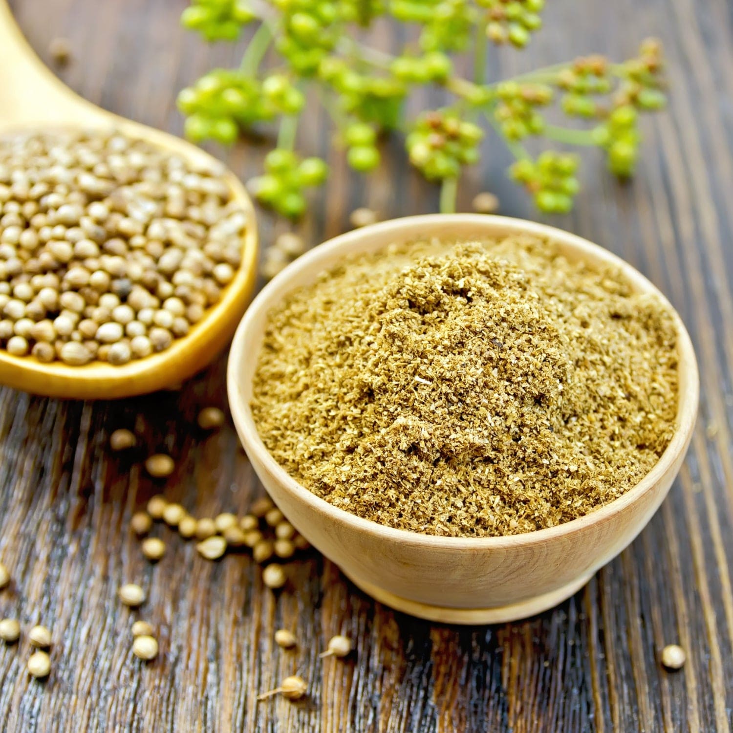 Coriander Powder